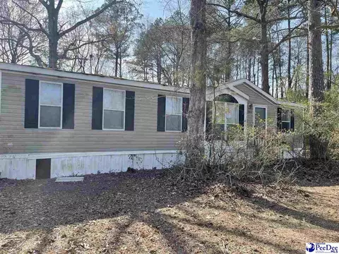 208 Divinity Rd, Darlington, SC 29532 photo 1