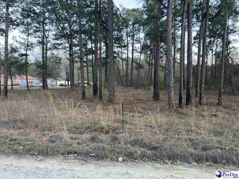1811 Skylite Dr, Dillon, SC 29536 photo 1