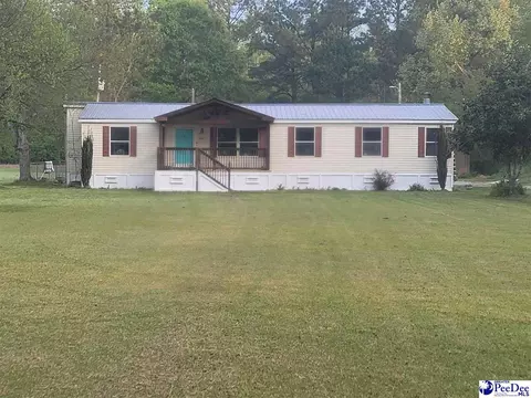 1421 Trifalia, Scranton, SC 29591 photo 1