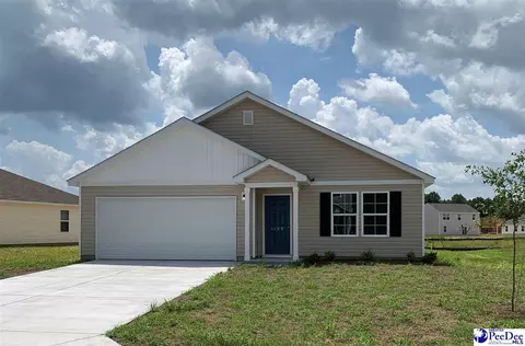 1198 Rushmore Loop, Florence, SC 29506 photo 1