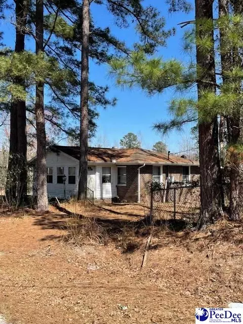 3240 Sam Jones Rd, Patrick, SC 29584 photo 1