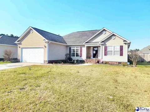 417 Pilchard Ct, Florence, SC 29505 photo 1
