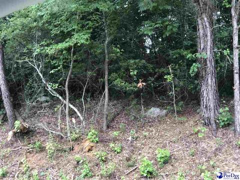 436 E Siesta Dr, Florence, SC 29505 photo 1