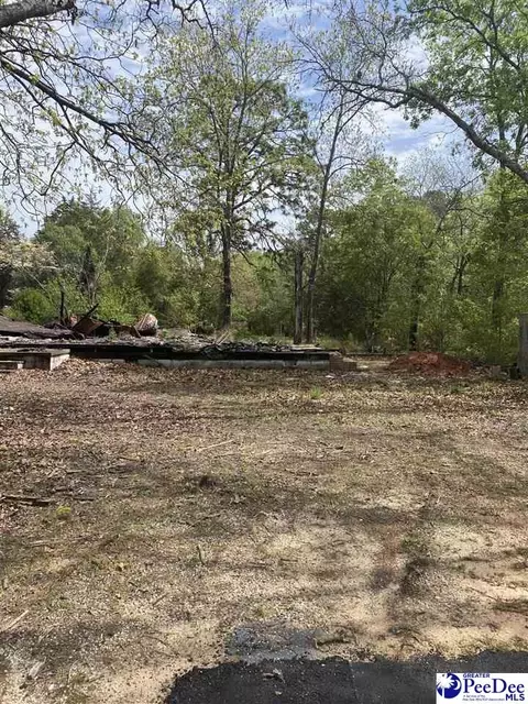 1159 Cherryvale Dr, Sumter, SC 29154 photo 1