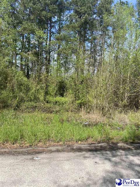 10 W Bee St, Sumter, SC 29150 photo 1