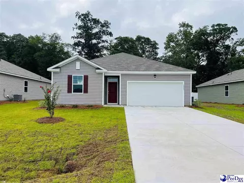 2063 E Paces Trl, Darlington, SC 29532 photo 1