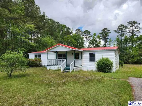 219 E Chapel View Dr, Florence, SC 29505 photo 1
