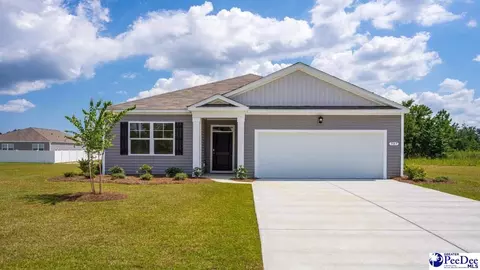 2055 E Paces Trl, Darlington, SC 29532 photo 1