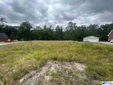 Tbd Wildshall, Darlington, SC 29532