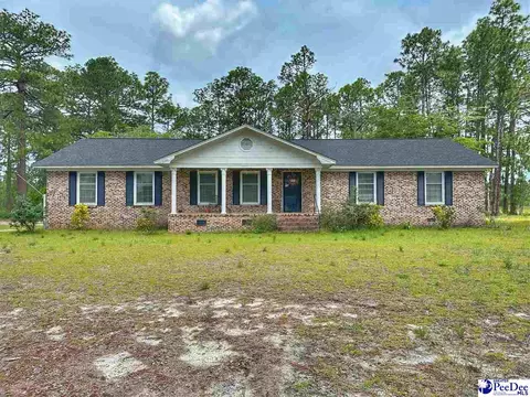 267 Pleasant Hill Rd, Dillon, SC 29536 photo 1