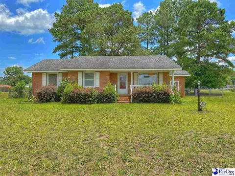 1910 Arrie Rd, Dillon, SC 29536 photo 1