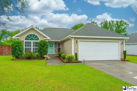 2117 Pathway Ct, Effingham, SC 29541 photo 1