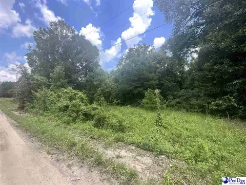 7912 Pages Ct, Gresham, SC 29546 photo 1
