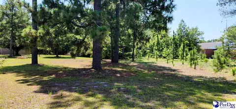2603 E Hwy 9, Dillon, SC 29536 photo 1
