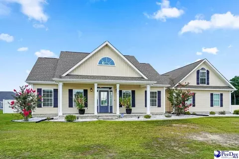 2132 E Paces Trl, Darlington, SC 29532 photo 1