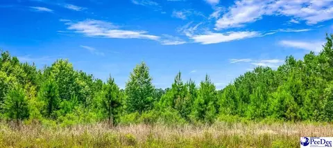 Tbd Jasmine Rd, Loris, SC 29569 photo 2