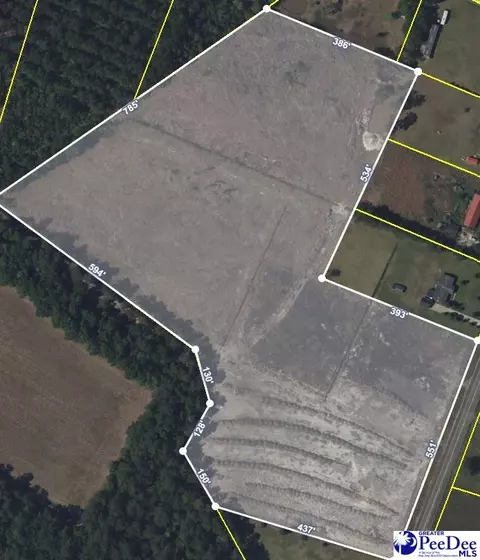 Tbd Jasmine Rd, Loris, SC 29569 photo 4