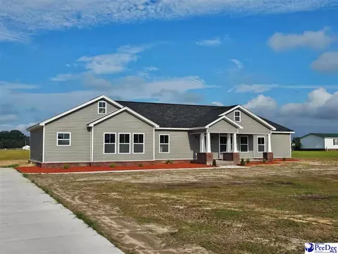 2938 Jeffords, Lamar, SC 29069 photo 1