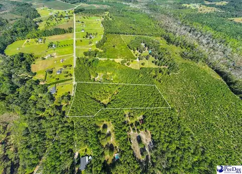 1921 Una Rd, Lamar, SC 29069 photo 10