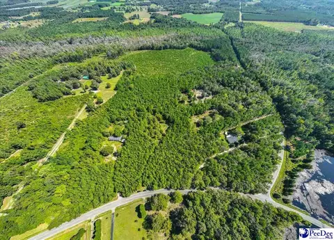 1921 Una Rd, Lamar, SC 29069 photo 9