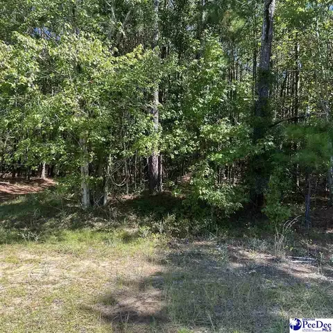 1921 Una Rd, Lamar, SC 29069 photo 1