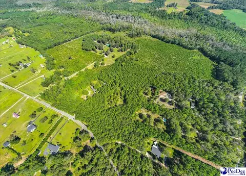 1921 Una Rd, Lamar, SC 29069 photo 11