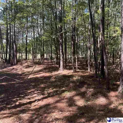 1921 Una Rd, Lamar, SC 29069 photo 3