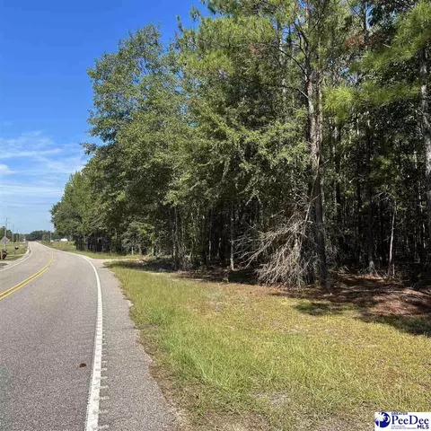 1921 Una Rd, Lamar, SC 29069 photo 4