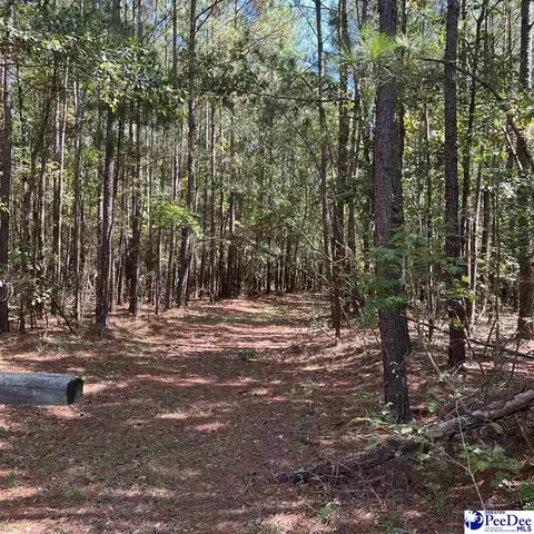 1921 Una Rd, Lamar, SC 29069 photo 2