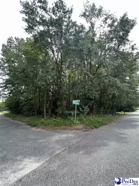1400 Constantine Dr, Florence, SC 29505 photo 1