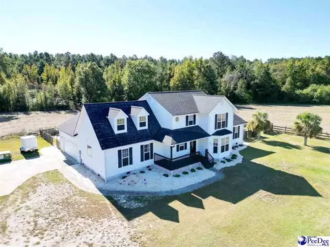 441 Joye Rd, Lamar, SC 29069 photo 1