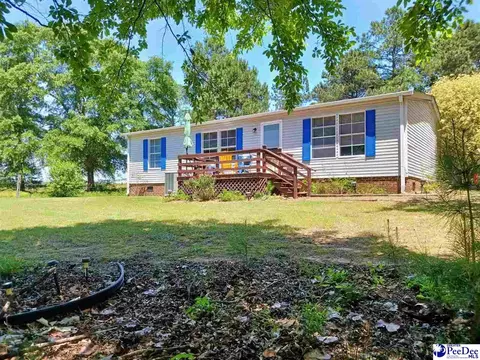 1371 Dw Oliver Rd, Ruby, SC 29741 photo 1