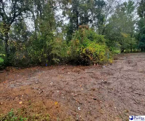 88 Ellis Loop, Kingstree, SC 29556 photo 1