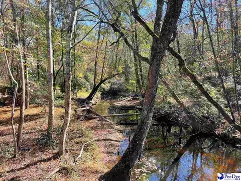 169 Martin Ln, Ruby, SC 29741 photo 28