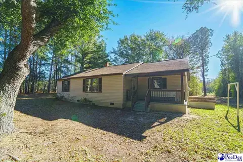 169 Martin Ln, Ruby, SC 29741 photo 2