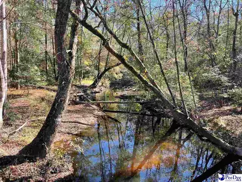 169 Martin Ln, Ruby, SC 29741 photo 24