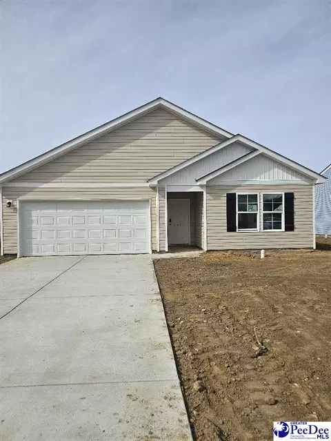 2022 E Paces Trl, Darlington, SC 29532 photo 1