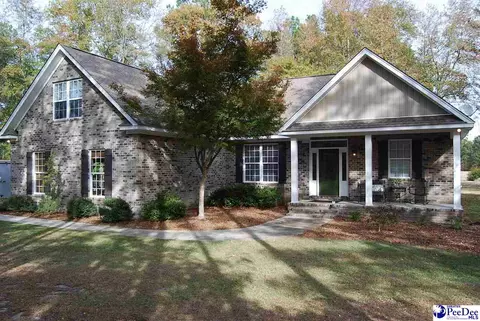 4702 Stagecoach Rd, Effingham, SC 29541 photo 1