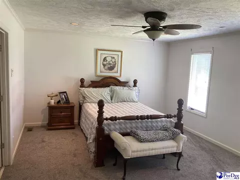 1309 E Roosevelt St, Dillon, SC 29536 photo 15