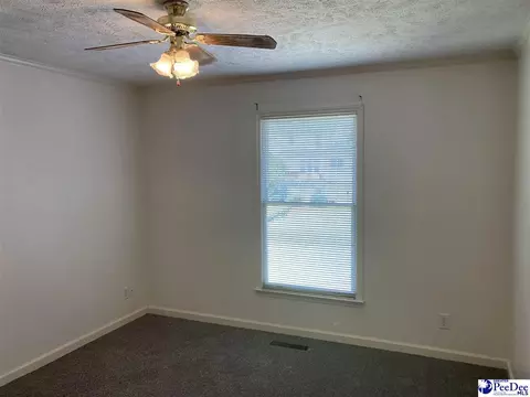1309 E Roosevelt St, Dillon, SC 29536 photo 18