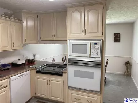 1309 E Roosevelt St, Dillon, SC 29536 photo 10