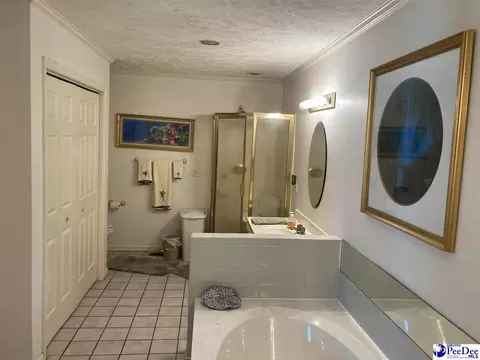 1309 E Roosevelt St, Dillon, SC 29536 photo 17