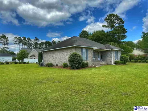 1309 E Roosevelt St, Dillon, SC 29536 photo 3