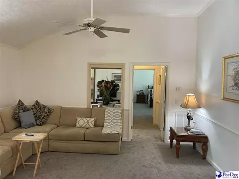 1309 E Roosevelt St, Dillon, SC 29536 photo 8