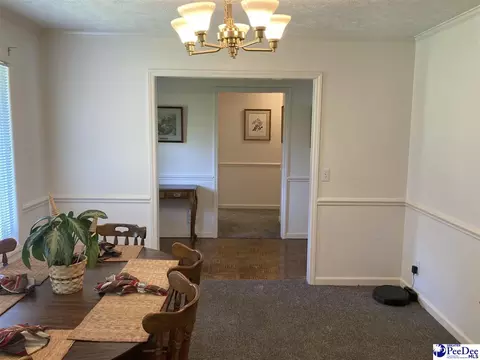 1309 E Roosevelt St, Dillon, SC 29536 photo 14