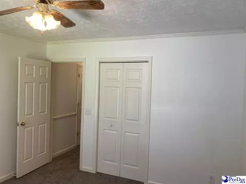 1309 E Roosevelt St, Dillon, SC 29536 photo 19