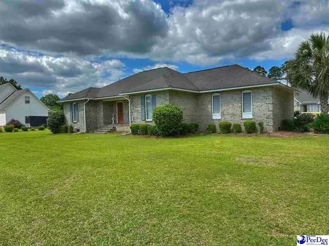 1309 E Roosevelt St, Dillon, SC 29536 photo 1