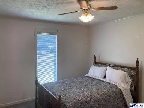 1309 E Roosevelt St, Dillon, SC 29536 photo 21