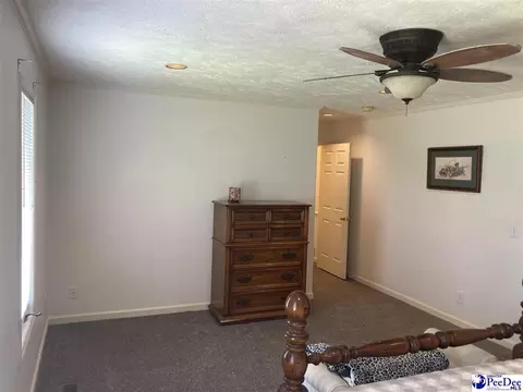 1309 E Roosevelt St, Dillon, SC 29536 photo 24