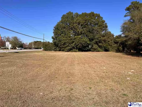 Country Club Drive/hwy 51, Johnsonville, SC 29555